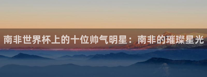 2026年男足世界杯：南非世界杯上的十位帅气明星：南非的璀璨星光