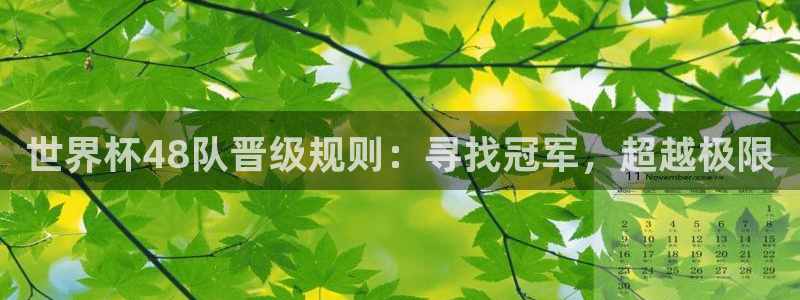 2026年世界杯赛程时间表格：世界杯48队晋级规则：寻找冠军，超越极限