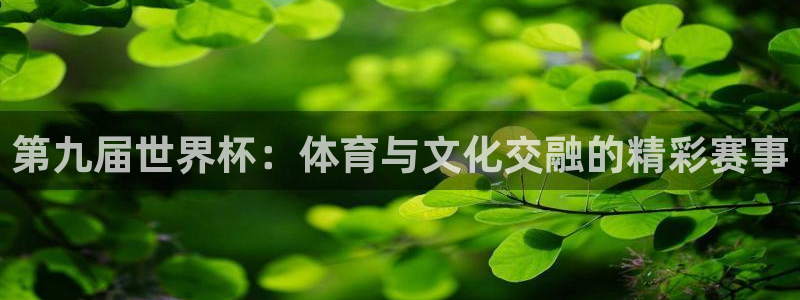 世界杯比赛赛程：第九届世界杯：体育与文化交融的精彩赛事