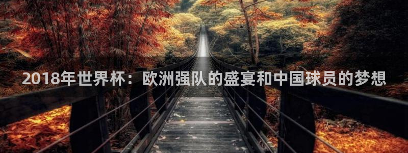 足球世界杯2026年赛程时间表：2018年世界杯：欧洲强队的盛宴和中国球员的梦想