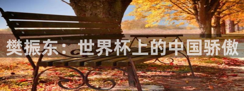 世界杯足球2026：樊振东：世界杯上的中国骄傲
