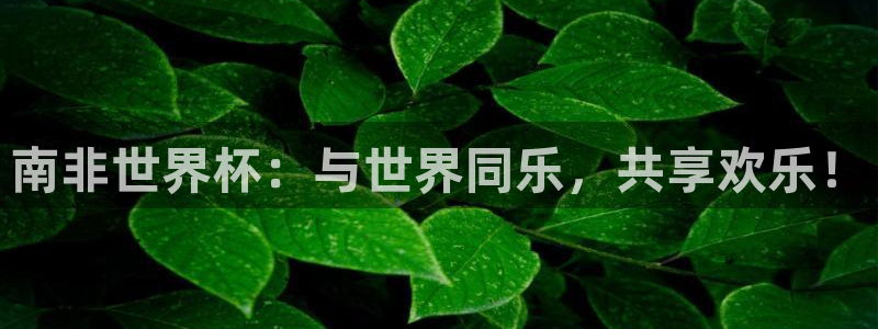 世界杯附加赛赛程表：南非世界杯：与世界同乐，共享欢乐！