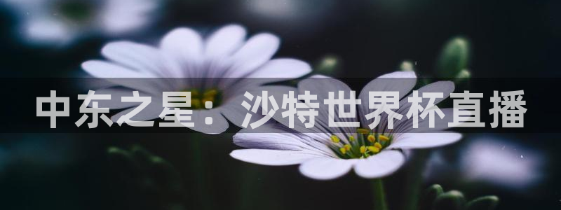 世界杯直播网站：中东之星：沙特世界杯直播