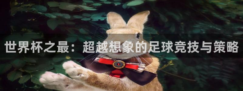 世界杯足球2026：世界杯之最：超越想象的足球竞技与策略