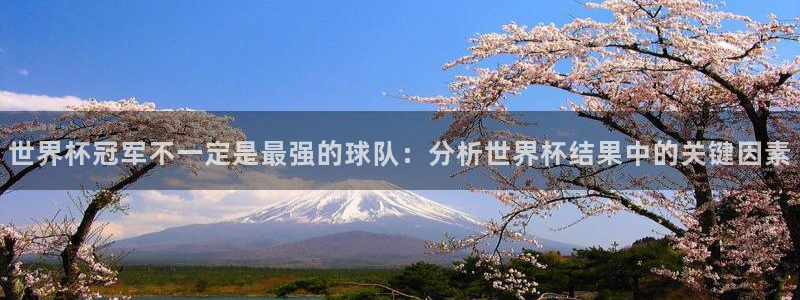 2026世界杯赛程：世界杯冠军不一定是最强的球队：分析世界杯结果中的关键因素