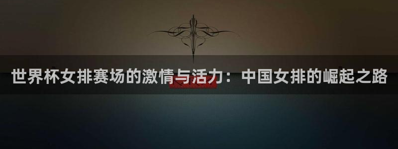 世界杯直播高清：世界杯女排赛场的激情与活力：中国女排的崛起之路