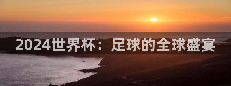 世界杯预选赛排名：2024世界杯：足球的全球盛宴