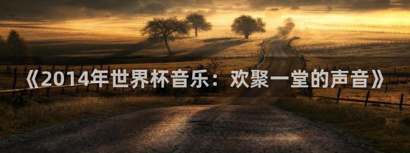 世界杯球赛：《2014年世界杯音乐：欢聚一堂的声音》
