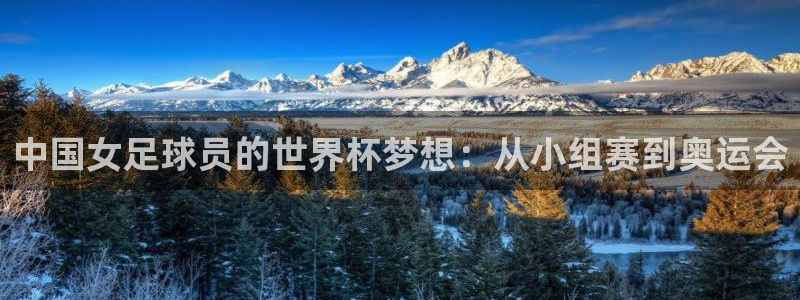 2026男足世界杯赛程：中国女足球员的世界杯梦想：从小组赛到奥运会
